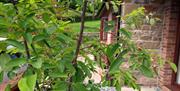 The Old Dairy Holiday Cottages