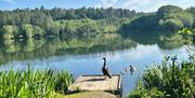 Pumping Station Holidays - Family Accommodation