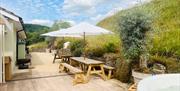Tan House Newland
