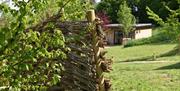 The Nook Cabin garden outside