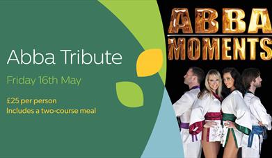 ABBA Tribute