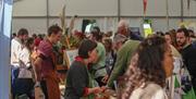 Forest Showcase Food Festival