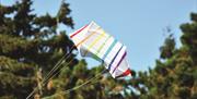 Kite Day at Taurus Crafts