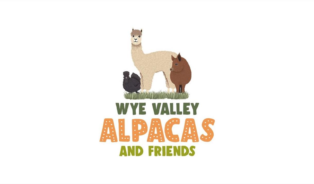 Wye Valley Alpacas and Friends