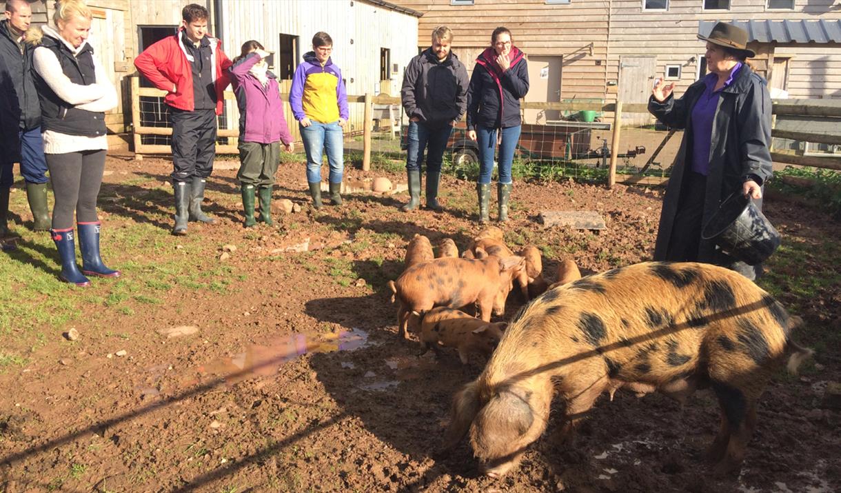 SMALLHOLDING FOR BEGINNERS at Humble by Nature