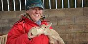LAMBING: A DAY IN THE SHED at Humble by Nature
