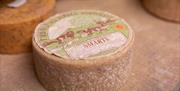 Smarts Traditional Cheesemaking