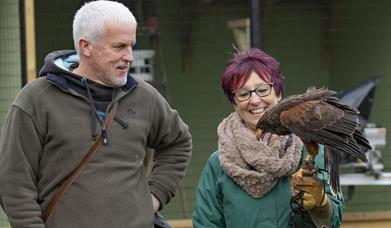 Forest Barn Falconry