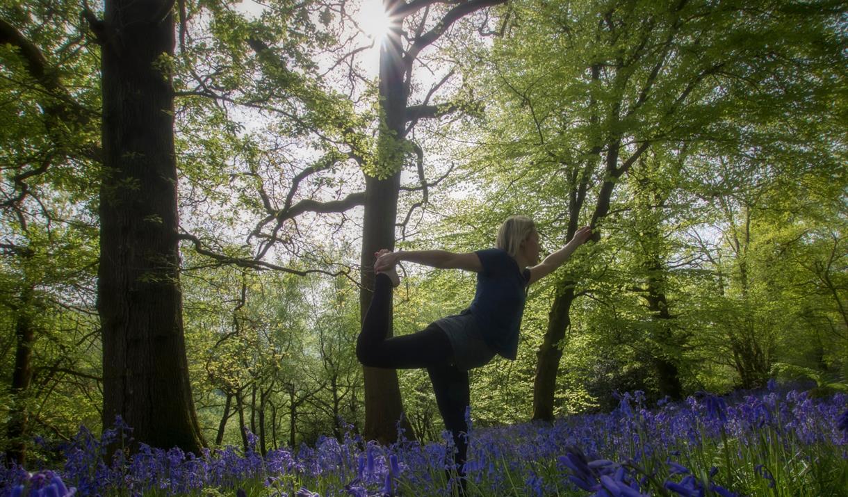 Weekend Yoga and Wellbeing Retreats