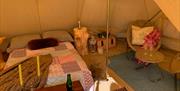 Glamping at Little Bull Hill