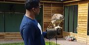 Forest Barn Falconry