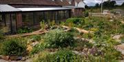 LEARN TO DESIGN & PLANT AN EDIBLE GARDEN at Humble by Nature
