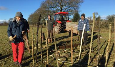 HEDGE-LAYING at Humble by Nature