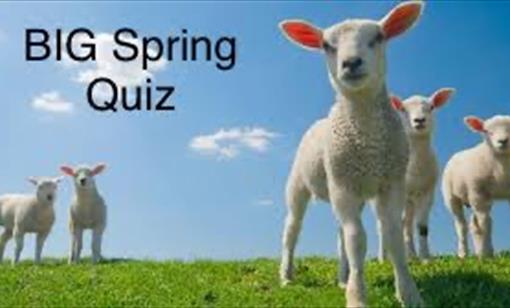 Big Spring Quiz