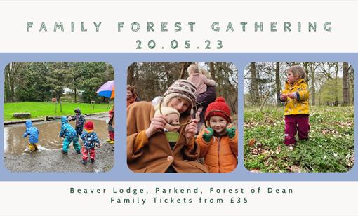 Family Forest Gathering