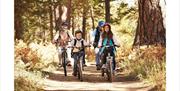 Ultimate Family Cycing Adventure at Wye-Bikes