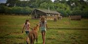 Family + Dog Friendly Glamping with Hot Tubs | South Wales near Abergavenny