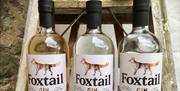 Create your own Gin at Foxtail Distillery