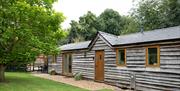 Rowan Tree Retreat forest cabin | with hot tub dog friendly self-catering in forest of dean wye valley
