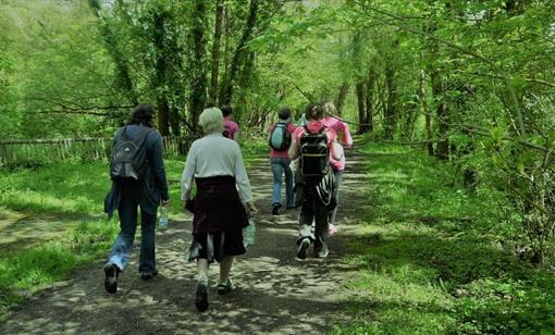 Walk the Wye for Breast Cancer Research