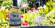 Create your own Gin at Foxtail Distillery