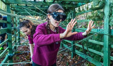 Time to get active at Forest of Dean Adventure