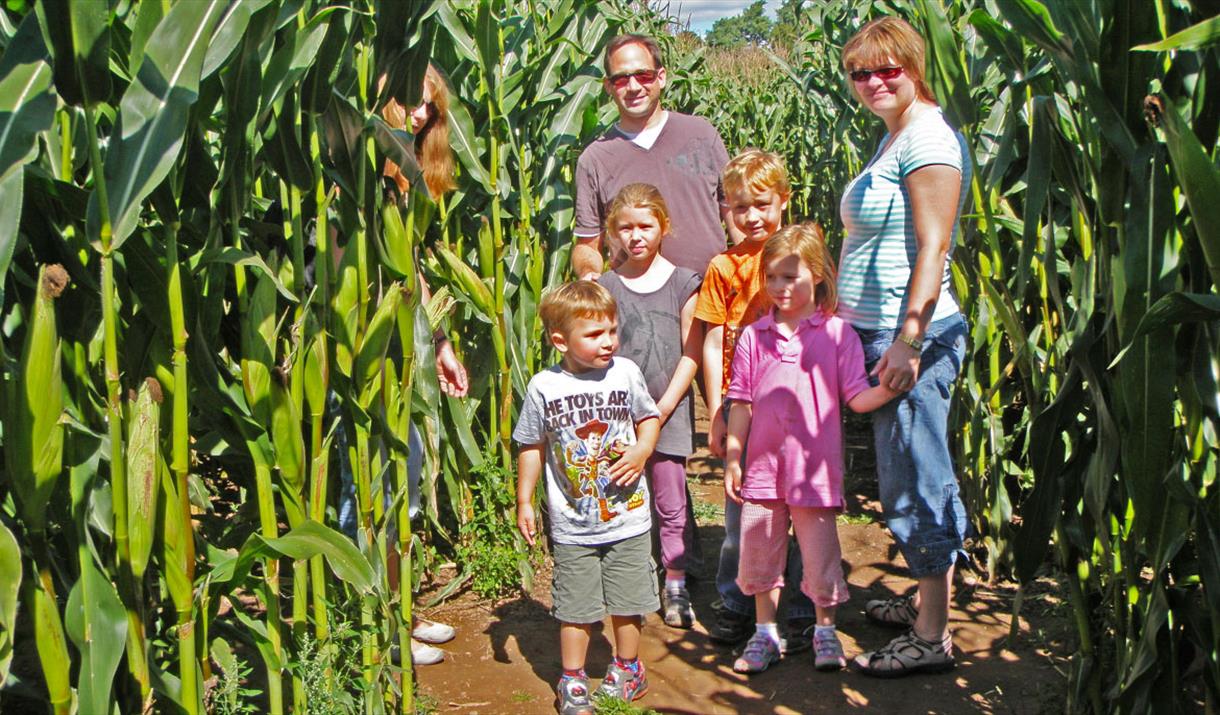 A family in the Giant Maze.and Activities Maze
