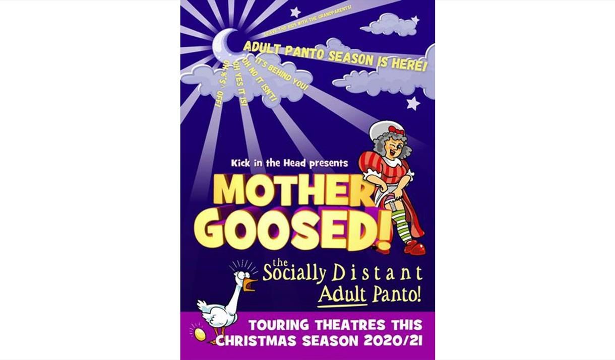 Mother Goosed: The Socially Distanced Adult Panto
