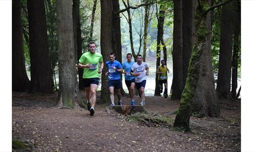 Forest of Dean Half Marathon