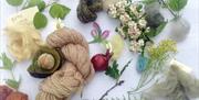 LEARN TO PLANT DYE YARN at Humble by Nature
