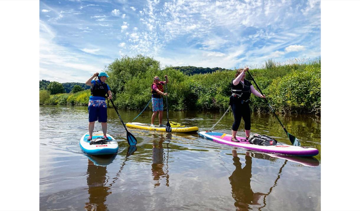 SUP Wildlife Safari at Paddleboarding Adventures