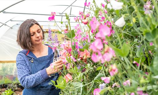 Flower Farmers Big Weekend and Open Day