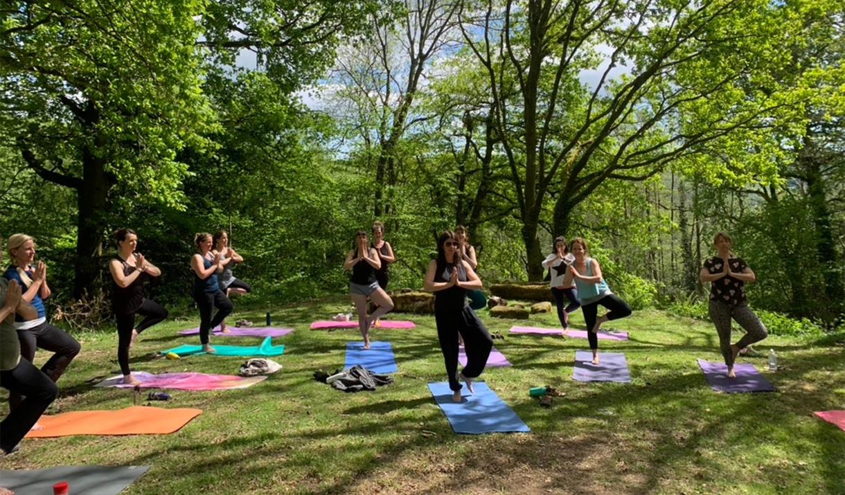 Forest Retreats - Yoga, Wellbeing and Forest Bathing