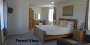 The Rock Holiday Cottage and Garden Lodges - Forest View Cottage
