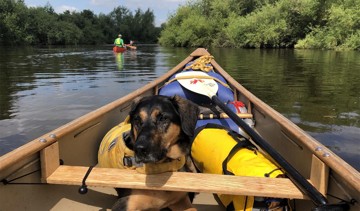 Way2Go Adventures canoe with a dog