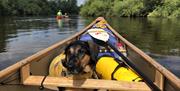 Way2Go Adventures canoe with a dog