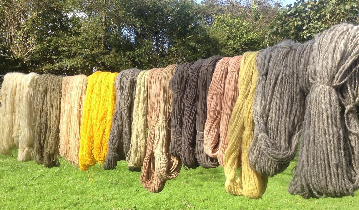 LEARN TO PLANT DYE YARN at Humble by Nature