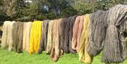LEARN TO PLANT DYE YARN at Humble by Nature