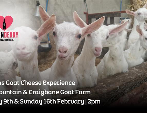 Sperrins Goat Cheese Experience