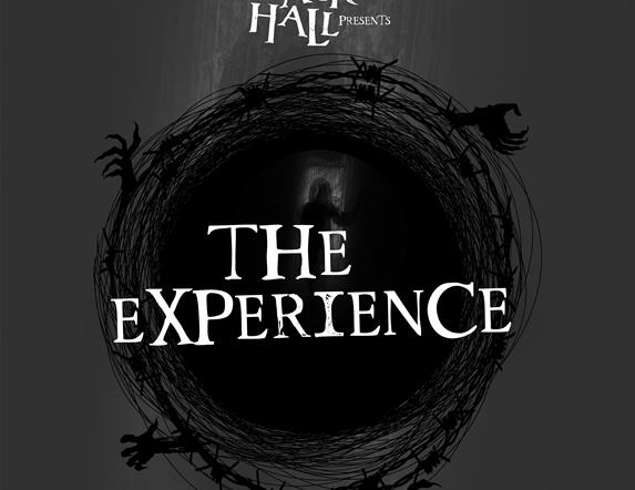 <img src="Derry-Halloween-Exp.png" alt="Poster for The Experience">