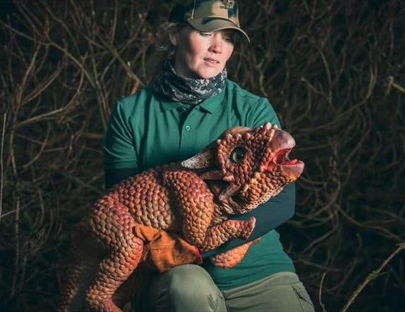 A person holding a small dinosaur.