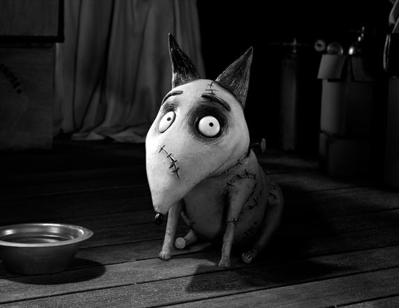 Frankenweenie sitting