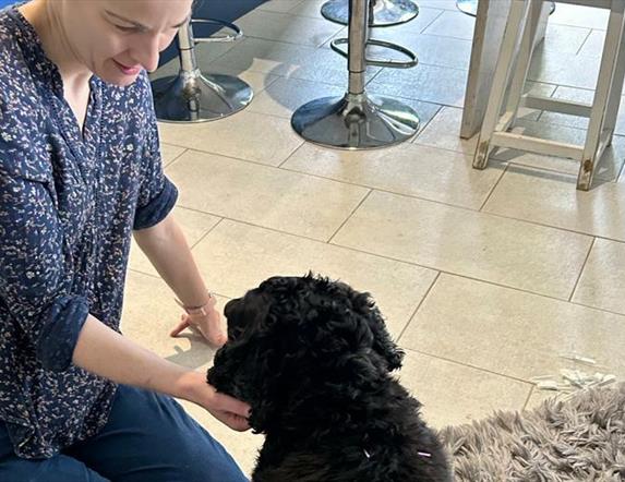 A woman kneels on the ground administering acupuncture to a small black dog beside her.