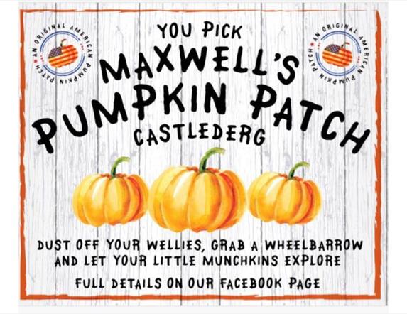 Maxwells Pumpkin Patch, Castlederg