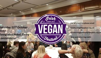 Irish Vegan Festival promotional banner.
