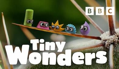 Image of nogglins on a branch