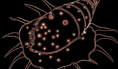 Black background with brown illustration of a squid