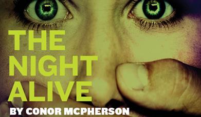 Slemish Players presents: The Night Alive By Conor McPherson
