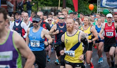 Group of people running in a marathon