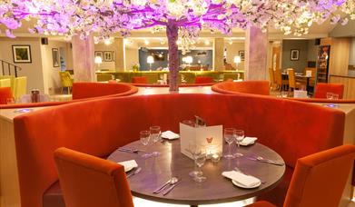 This is a picture of 68 Clooney Restaurant. The focal point is a featured pink blossom tree.